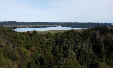 Campo en Los Muermos, El Escondido – Región de Los Lagos