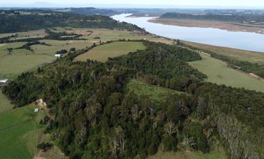 Campo en Los Muermos, El Escondido – Región de Los Lagos