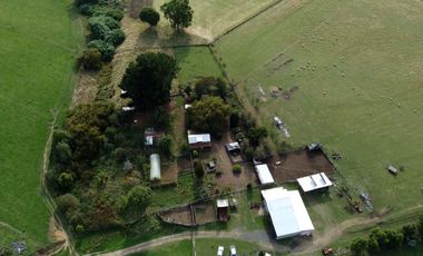 Campo en Los Muermos, El Escondido – Región de Los Lagos