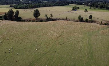 Campo en Los Muermos, El Escondido – Región de Los Lagos