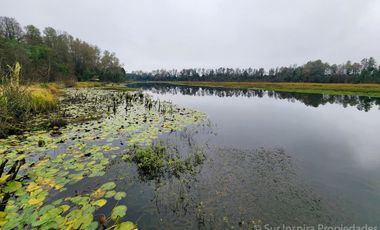 Espectacular Parcela de 5.000 m² con Frente al Río Cayumapu – Condominio Norte de Valdivia