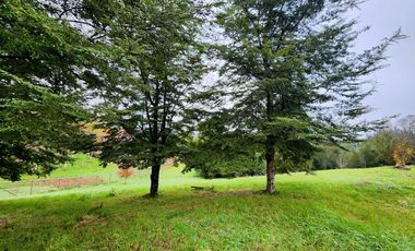 Espectacular Parcela de 5.000 m² con Frente al Río Cayumapu – Condominio Norte de Valdivia