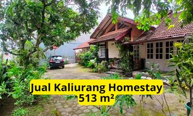 Rumah Luas Jalan Kaliurang 500 m² Sejuk