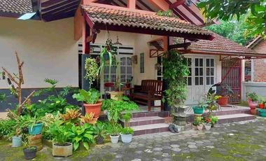 Rumah Luas Jalan Kaliurang 500 m² Sejuk