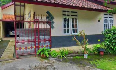 Rumah Luas Jalan Kaliurang 500 m² Sejuk