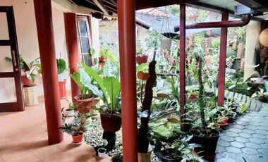 Rumah Luas Jalan Kaliurang 500 m² Sejuk
