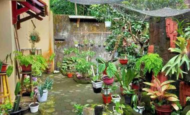 Rumah Luas Jalan Kaliurang 500 m² Sejuk