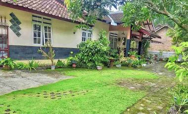 Rumah Luas Jalan Kaliurang 500 m² Sejuk