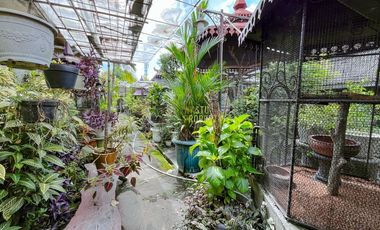 Private Heritage House in Yogyakarta