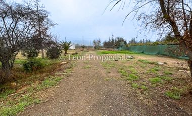 Leon Propiedades vende parcela con 2 casas en Maria pinto, Curacaví.