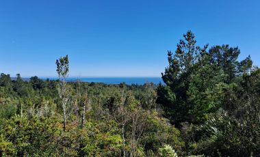 Parcelas San Ignacio Alto