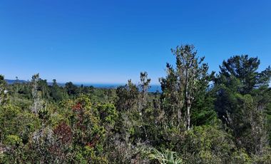 Parcelas San Ignacio Alto