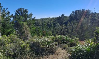 Parcelas San Ignacio Alto