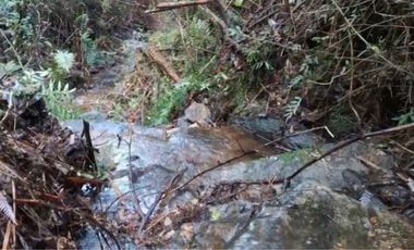 Parcelas San Ignacio Alto