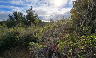 Parcelas San Ignacio Alto