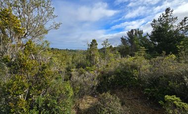 Parcelas San Ignacio Alto