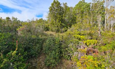 Parcelas San Ignacio Alto