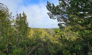 Parcelas San Ignacio Alto