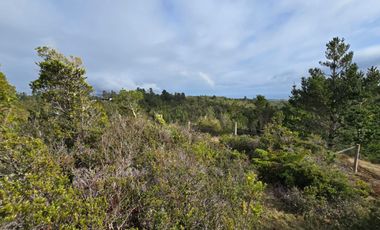 Parcelas San Ignacio Alto