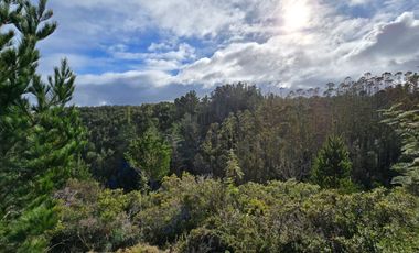 Parcelas San Ignacio Alto