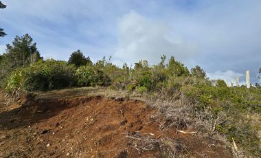 Parcelas San Ignacio Alto