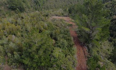 Parcelas San Ignacio Alto