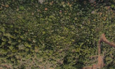 Parcelas San Ignacio Alto