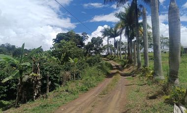 VENTADE LOTE LA CUMBRE.- BITACO .- VIALOMITAS