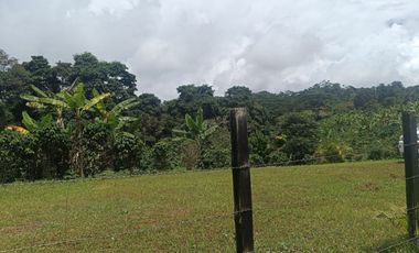 VENTADE LOTE LA CUMBRE.- BITACO .- VIALOMITAS