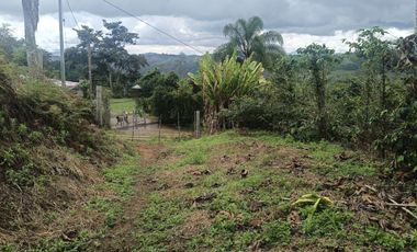 VENTADE LOTE LA CUMBRE.- BITACO .- VIALOMITAS