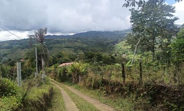 VENTADE LOTE LA CUMBRE.- BITACO .- VIALOMITAS