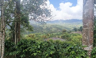 VENTADE LOTE LA CUMBRE.- BITACO .- VIALOMITAS