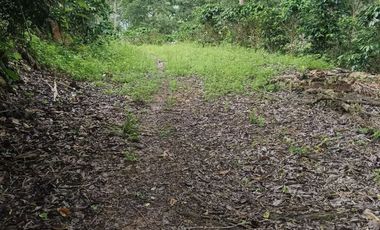 VENTADE LOTE LA CUMBRE.- BITACO .- VIALOMITAS