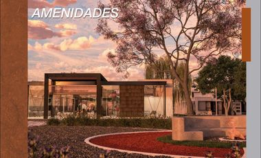 Casas en venta 🏡 VIÑEDOS RIBIER ✨