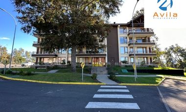 Pucon Depto 1d 1b Condominio Los Castaños Alicura Cod.dp0201