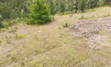 TERRENO EN VENTA EN DOMAY - SOLANO - DELEG