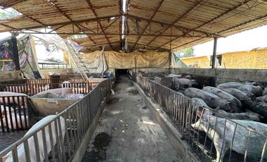 propiedad agrícola en venta en el poblado de san Lucas evangelista