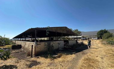 propiedad agrícola en venta en el poblado de san Lucas evangelista