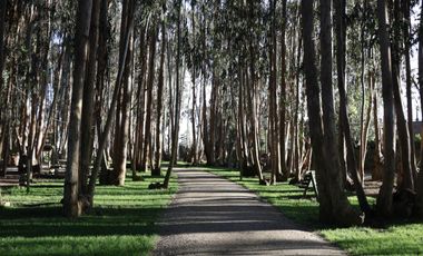 Rebajado! Depto Semi Nuevo Condominio Costa Algarrobo, Algarrobo.