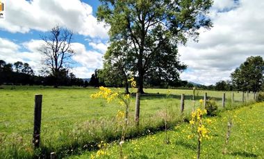 Casa enparcela a minutos de Villarrica