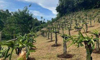 FOR SALE - 2 bahay kubo with mini pool in Lucban, Quezon