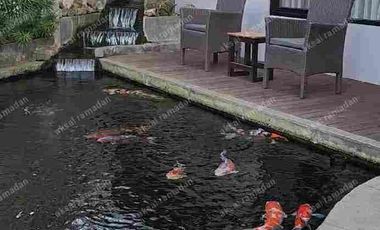 Rumah Lux Kolam Renang Furnished Dekat Griya Arcamanik Kota Bandung