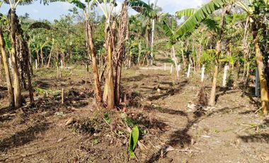 2210sqm RESIDENTIAL LOT FOR SALE, PANGIL,AMADEO. OMLY P4k/sqm!