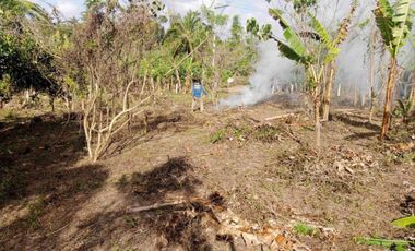 2210sqm RESIDENTIAL LOT FOR SALE, PANGIL,AMADEO. OMLY P4k/sqm!