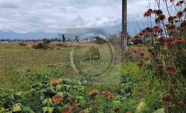 Se vende 20 hectáreas             6 hectáreas.                       4 hectárea de terreno a 10 dolares cada mts2.