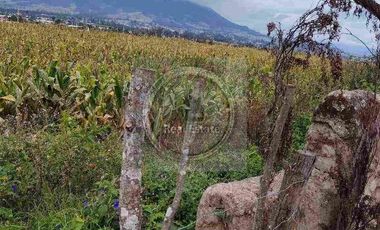 Se vende 20 hectáreas             6 hectáreas.                       4 hectárea de terreno a 10 dolares cada mts2.