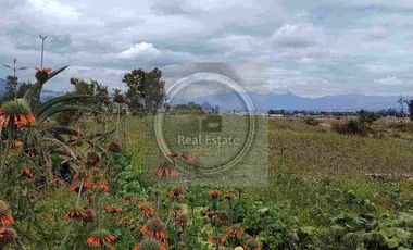 Se vende 20 hectáreas             6 hectáreas.                       4 hectárea de terreno a 10 dolares cada mts2.