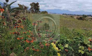 Se vende 20 hectáreas             6 hectáreas.                       4 hectárea de terreno a 10 dolares cada mts2.