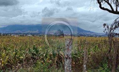 Se vende 20 hectáreas             6 hectáreas.                       4 hectárea de terreno a 10 dolares cada mts2.