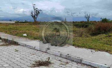 Se vende 20 hectáreas             6 hectáreas.                       4 hectárea de terreno a 10 dolares cada mts2.